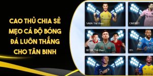 Cao Thủ Chia Sẻ Mẹo Cá Độ Bóng Đá Luôn Thắng Cho Tân Binh